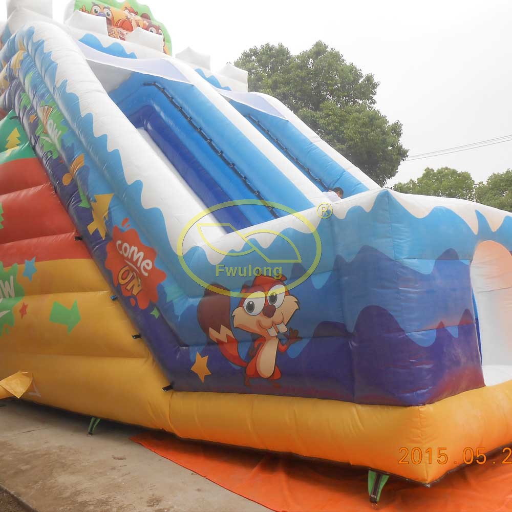 Inflatable Water Slide FU-WS37
