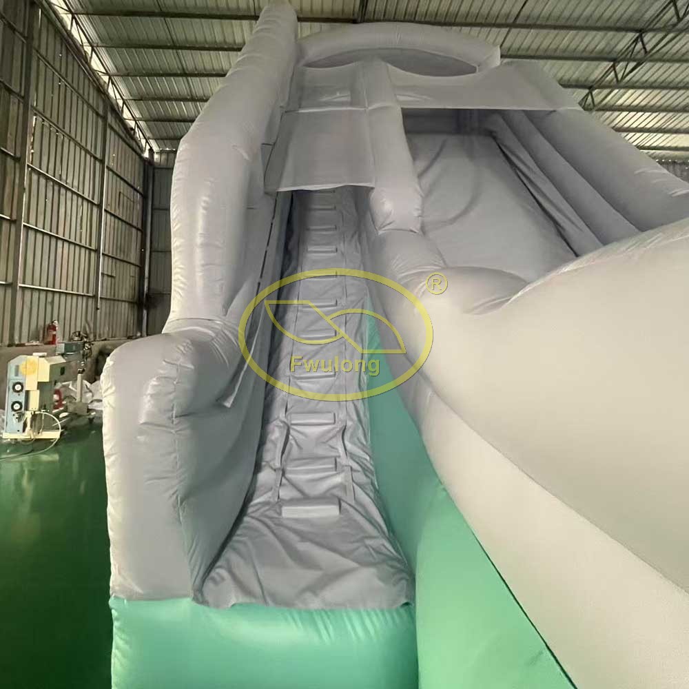 Inflatable Water Slide FU-WS67