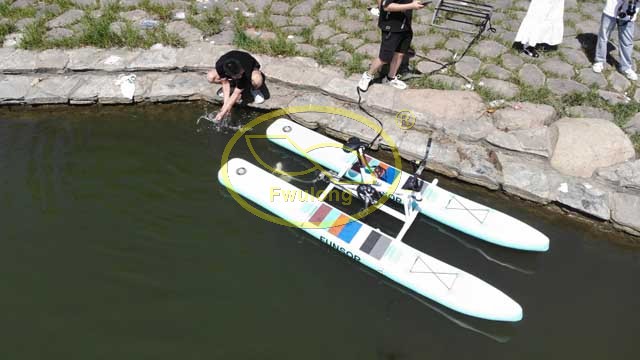Adult Water Bike
