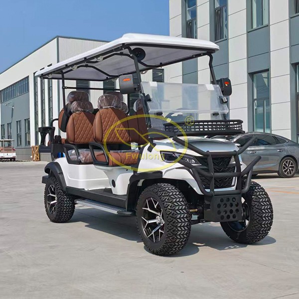 Fwulong 6 seats golf cart2.jpg
