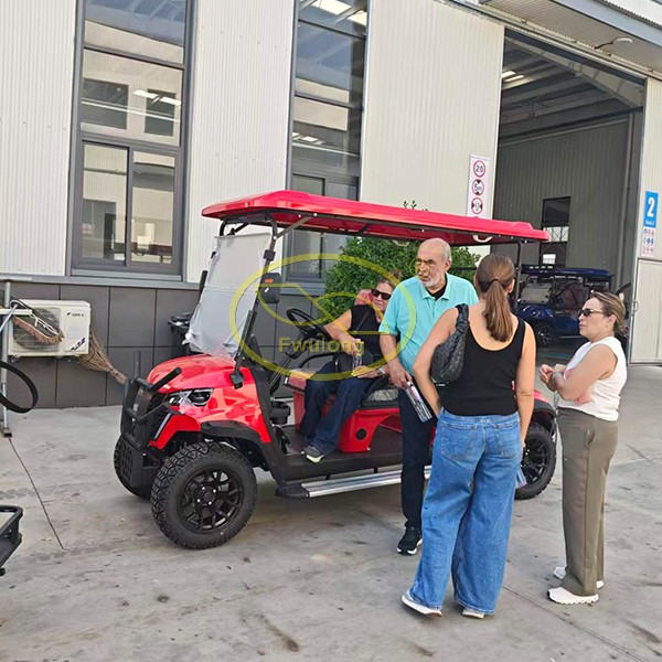 Fwulong 6 seats golf cart6.jpg