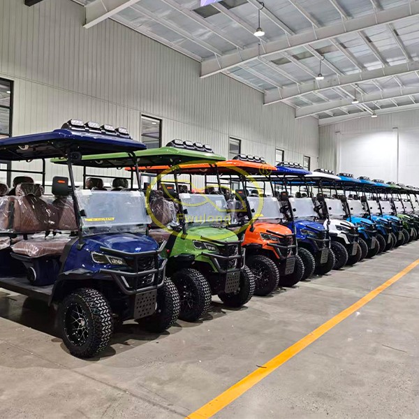 Electric Golf Cart-6 seats