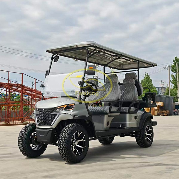 Electric Golf Cart-6 seats