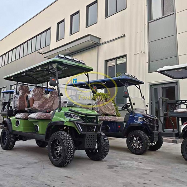 Electric Golf Cart-6 seats